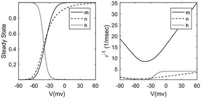 A Scalable FPGA Architecture for Randomly Connected Networks of Hodgkin-Huxley Neurons